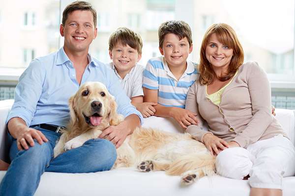 Why Choose One Family Dentist for Everyone in Your Family from Cosmetic & Family Dentistry of the North Shore in Swampscott, MA